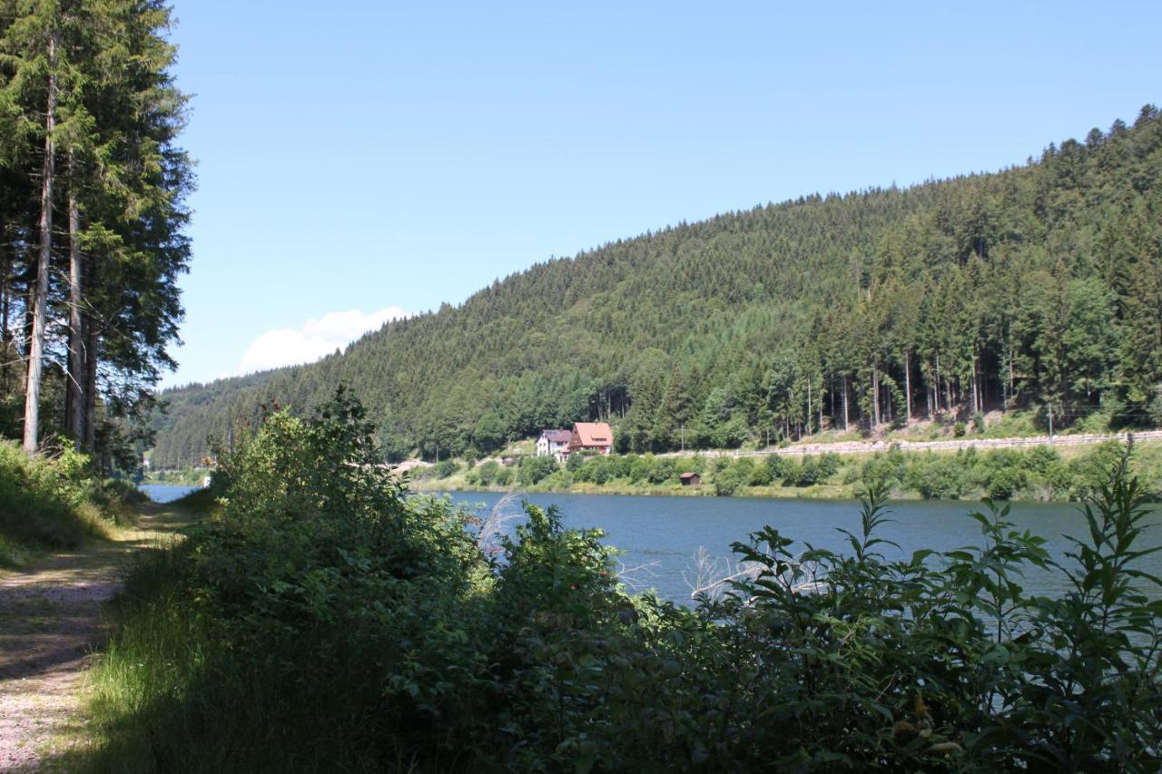 Zur Traube Schwarzwaldhotel & Restaurant Am Titisee แซงค์ทมาร์เงน ภายนอก รูปภาพ
