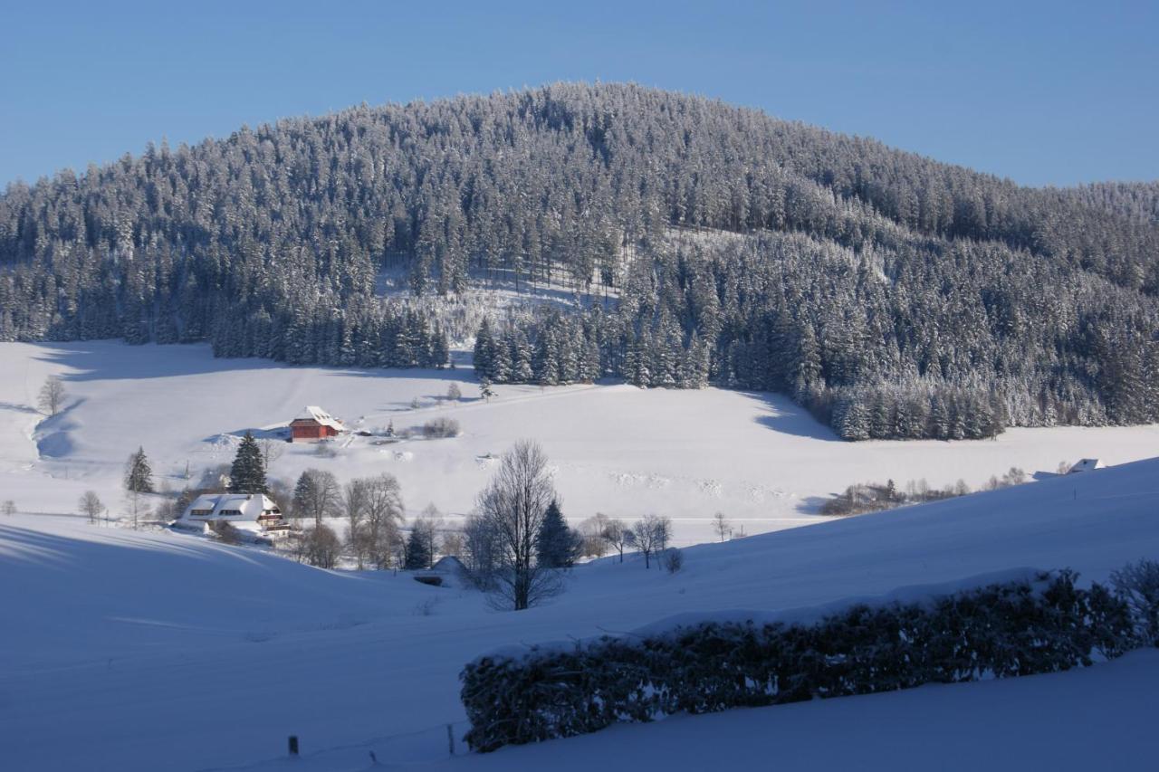 Zur Traube Schwarzwaldhotel & Restaurant Am Titisee แซงค์ทมาร์เงน ภายนอก รูปภาพ