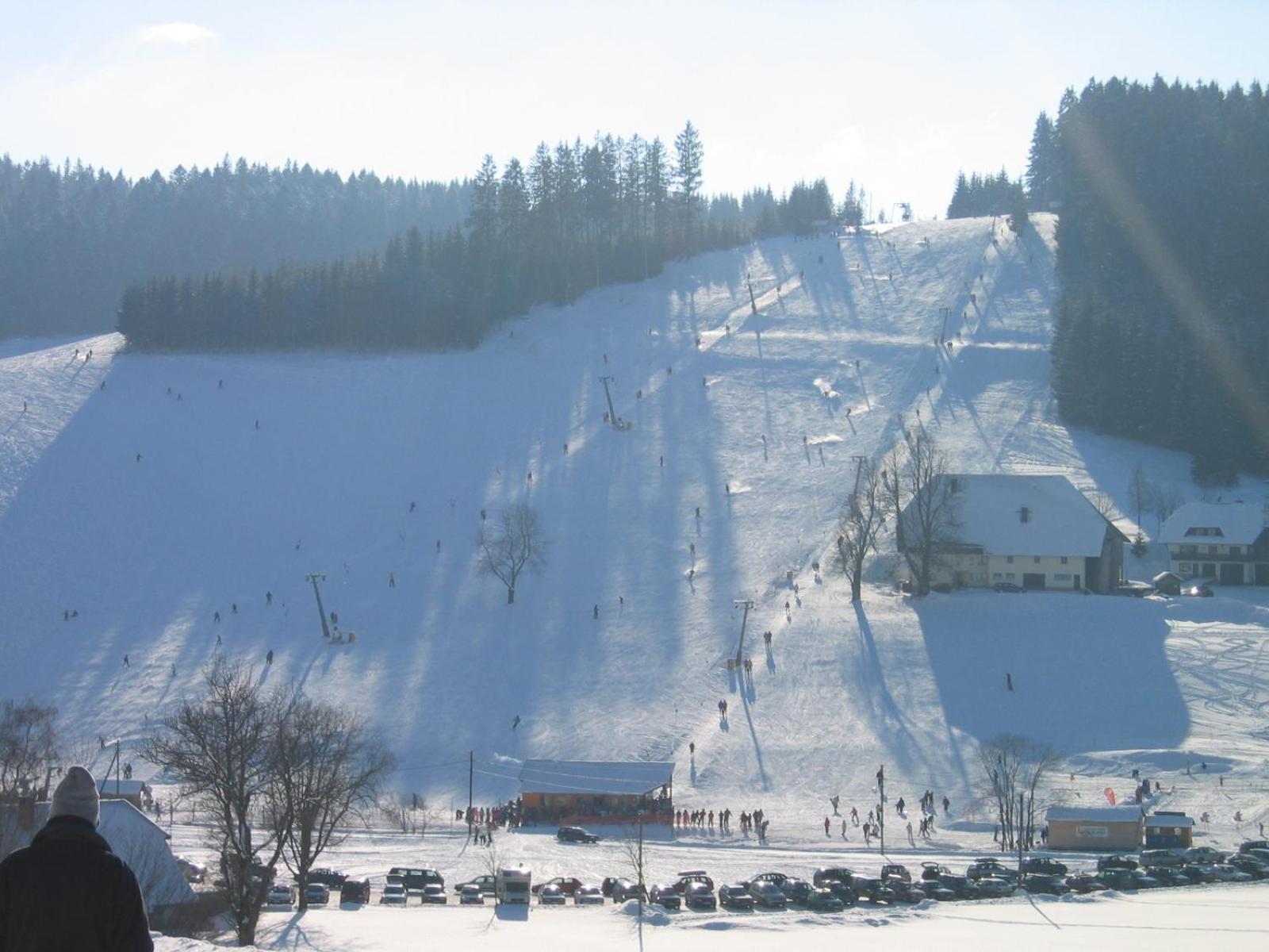 Zur Traube Schwarzwaldhotel & Restaurant Am Titisee แซงค์ทมาร์เงน ภายนอก รูปภาพ