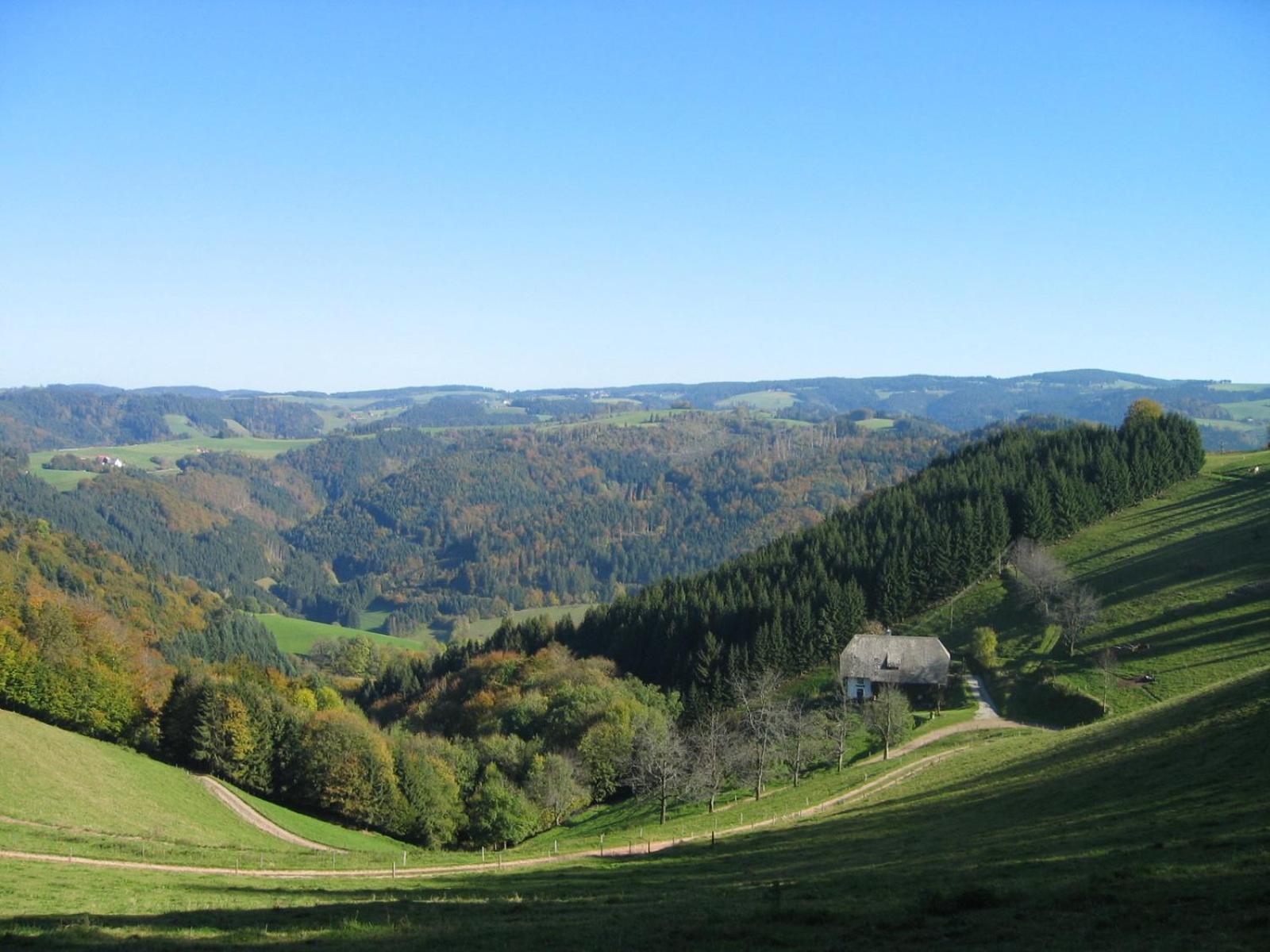 Zur Traube Schwarzwaldhotel & Restaurant Am Titisee แซงค์ทมาร์เงน ภายนอก รูปภาพ
