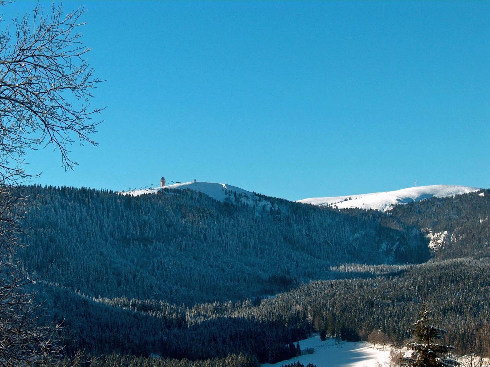 Zur Traube Schwarzwaldhotel & Restaurant Am Titisee แซงค์ทมาร์เงน ภายนอก รูปภาพ